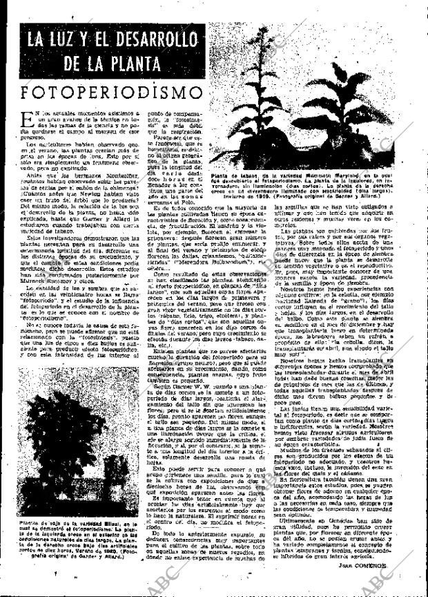 ABC MADRID 11-02-1955 página 13