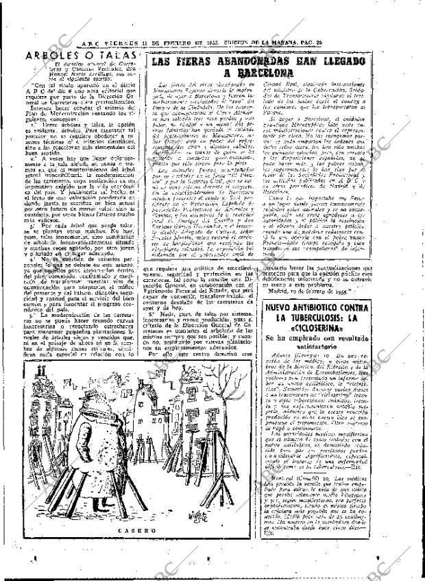 ABC MADRID 11-02-1955 página 25