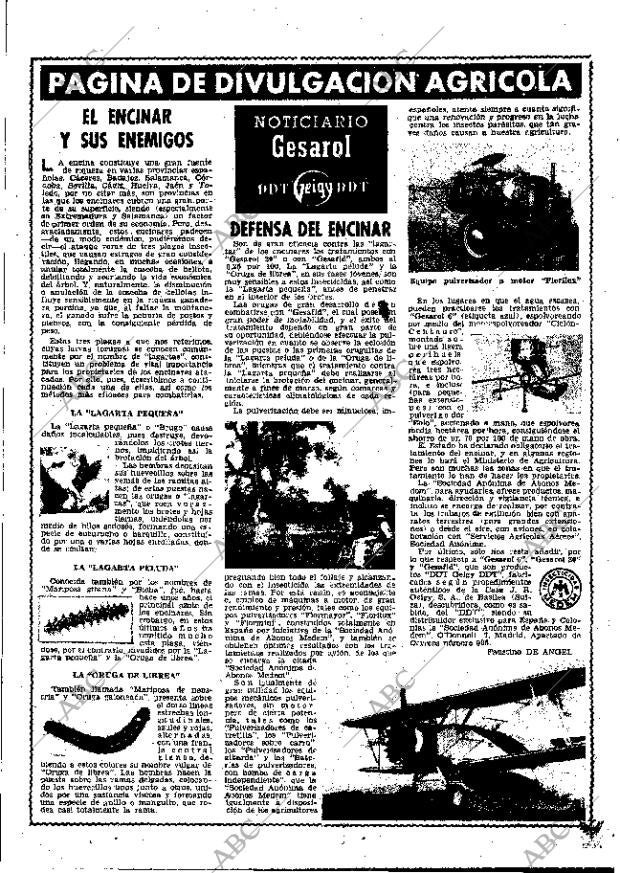 ABC MADRID 25-03-1955 página 21