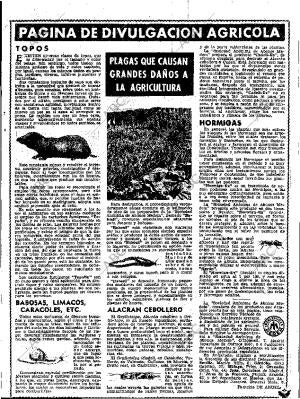 ABC SEVILLA 22-05-1955 página 7