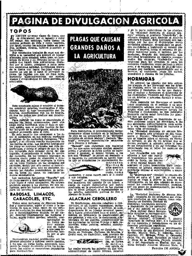 ABC SEVILLA 22-05-1955 página 7