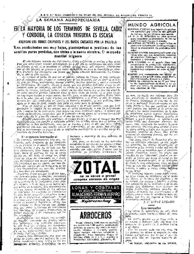 ABC SEVILLA 03-07-1955 página 19
