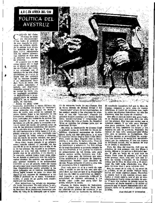 ABC SEVILLA 03-07-1955 página 37