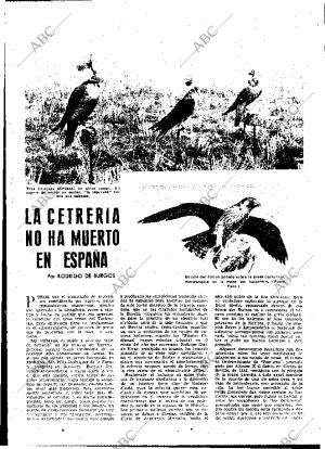 ABC MADRID 10-07-1955 página 25