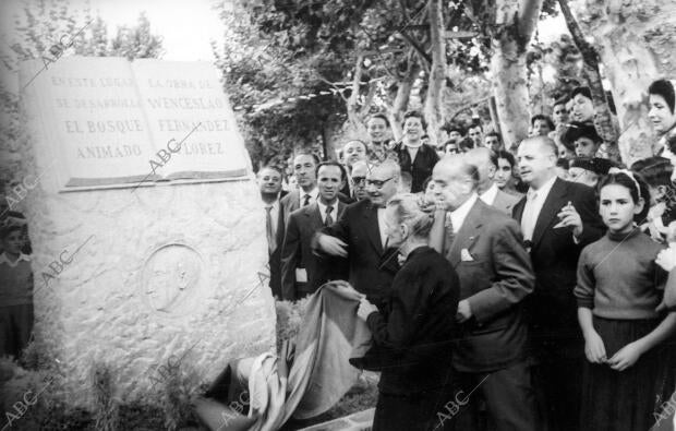 La madre del ilustre escritor y académico de la real Academia, D. Wenceslao...