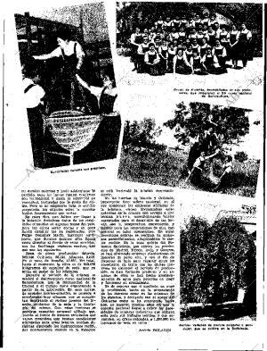 ABC SEVILLA 04-09-1955 página 13