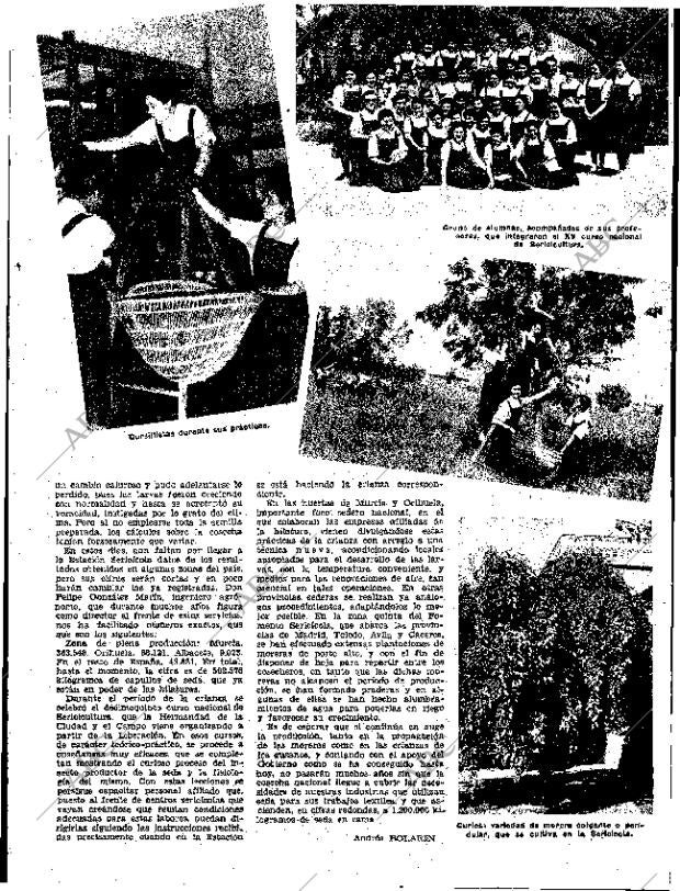 ABC SEVILLA 04-09-1955 página 13