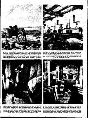 ABC SEVILLA 10-09-1955 página 13