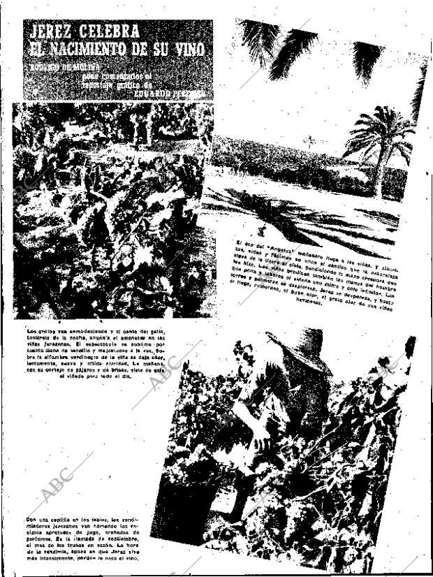 ABC SEVILLA 10-09-1955 página 8