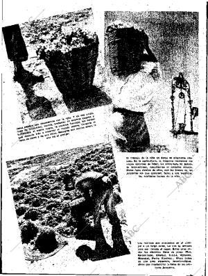 ABC SEVILLA 10-09-1955 página 9