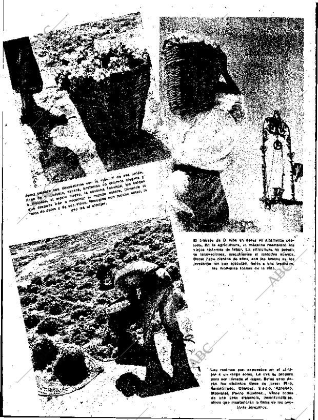 ABC SEVILLA 10-09-1955 página 9