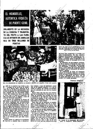 ABC MADRID 09-10-1955 página 23