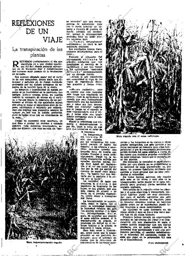 ABC MADRID 15-10-1955 página 27