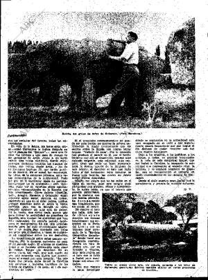 ABC SEVILLA 30-10-1955 página 19