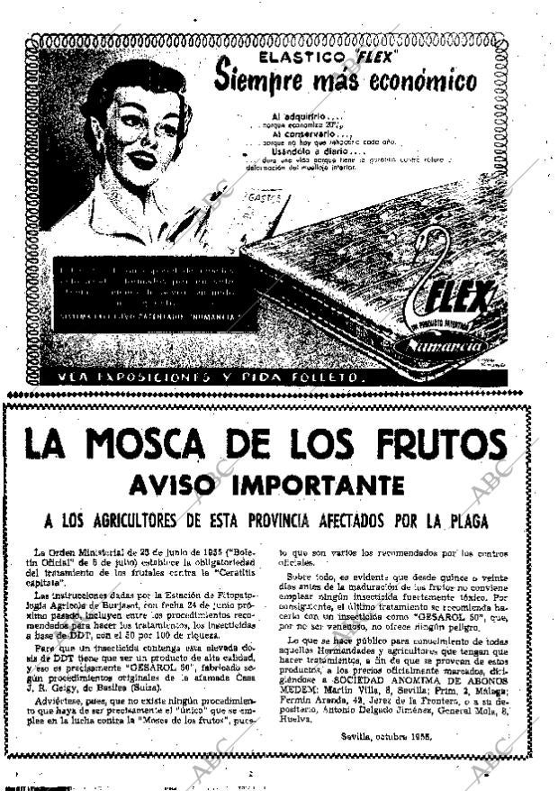 ABC SEVILLA 11-11-1955 página 6