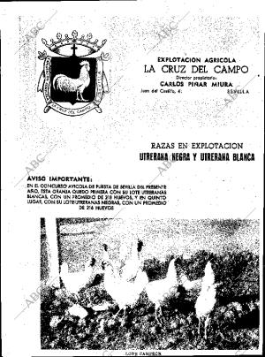 ABC SEVILLA 24-11-1955 página 10