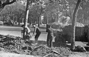 Los jardineros recogiendo las hojas de los árboles que han caído durante el...