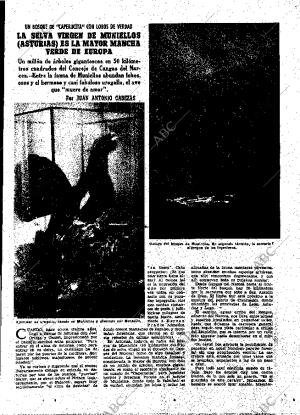 ABC MADRID 31-12-1955 página 21