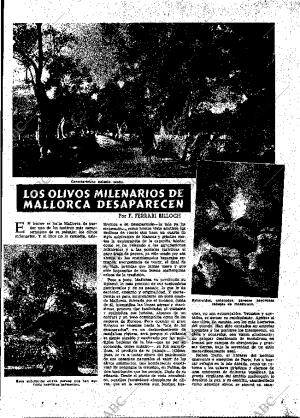 ABC MADRID 31-12-1955 página 25