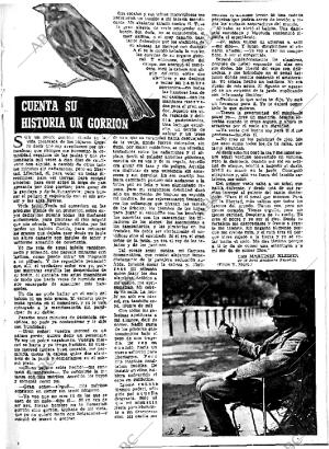 ABC MADRID 11-02-1956 página 15