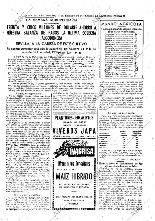 ABC SEVILLA 19-02-1956 página 21