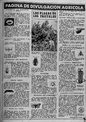 ABC MADRID 11-04-1956 página 11