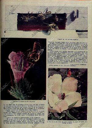 ABC MADRID 22-04-1956 página 21