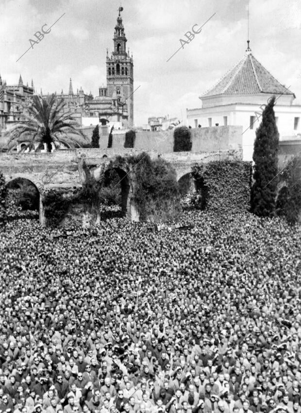 En el patio de la montería de los Reales Alcázares, una enorme masa de...