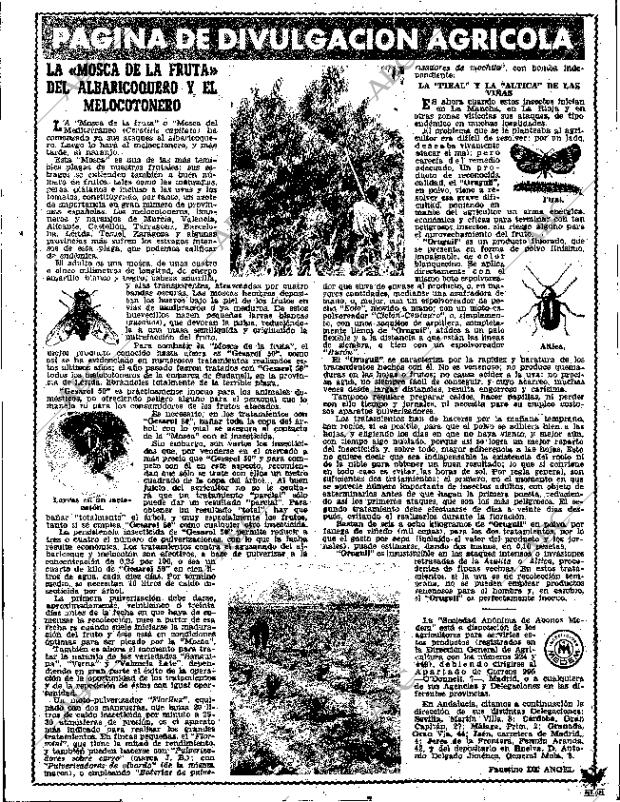 ABC SEVILLA 27-05-1956 página 13