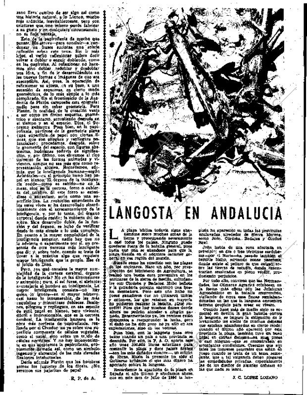 ABC SEVILLA 16-08-1956 página 5