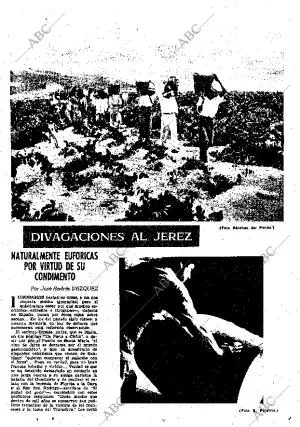 ABC SEVILLA 08-09-1956 página 17