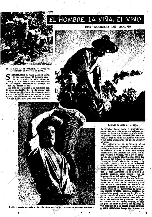 ABC SEVILLA 08-09-1956 página 23