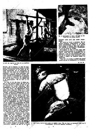 ABC SEVILLA 08-09-1956 página 25