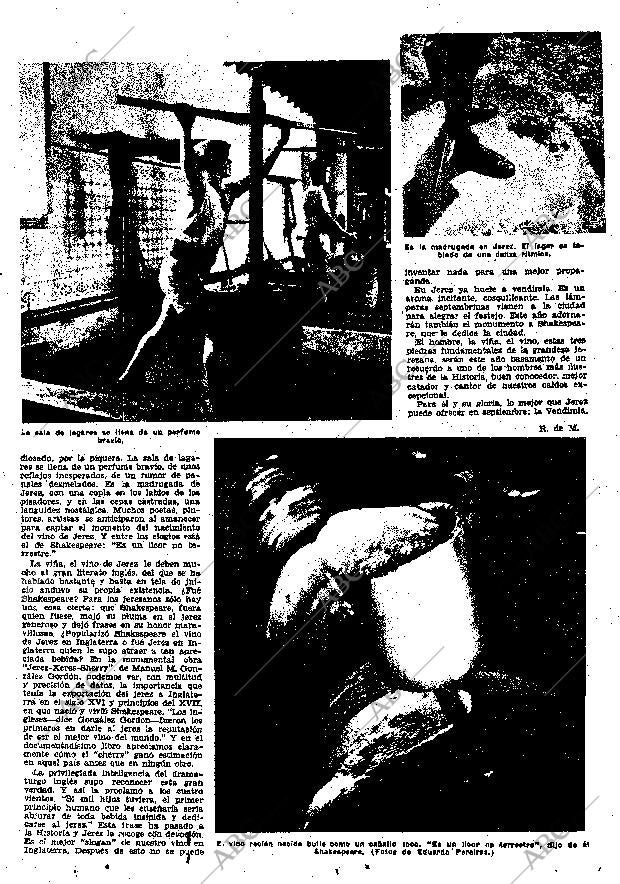 ABC SEVILLA 08-09-1956 página 25