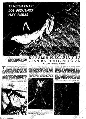 ABC MADRID 08-03-1957 página 13