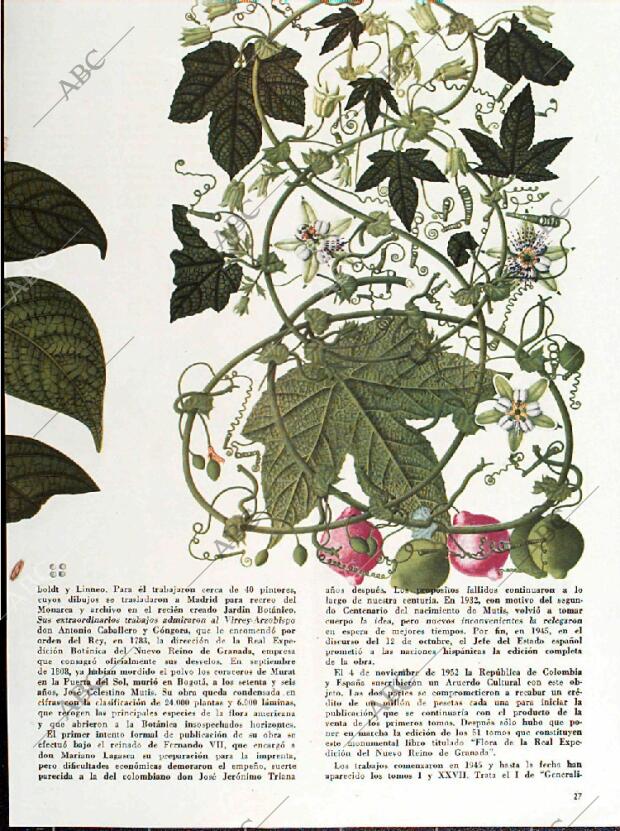 BLANCO Y NEGRO MADRID 04-05-1957 página 29