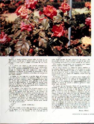 BLANCO Y NEGRO MADRID 01-06-1957 página 28