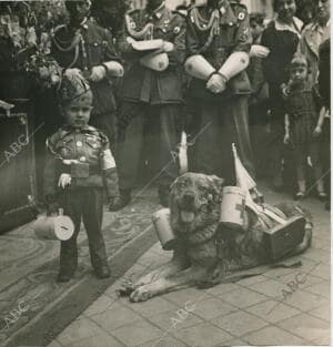 Un niño vestido de cabo de la Cruz Roja, acompañado de su perro, en la plaza de...