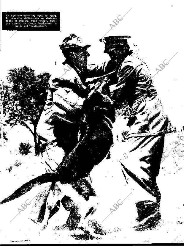 BLANCO Y NEGRO MADRID 27-07-1957 página 31