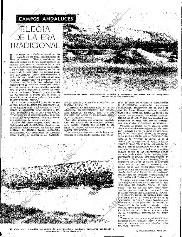 ABC SEVILLA 02-08-1957 página 5