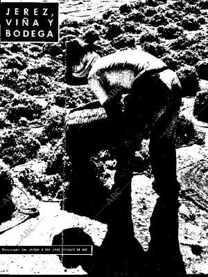 BLANCO Y NEGRO MADRID 10-08-1957 página 29