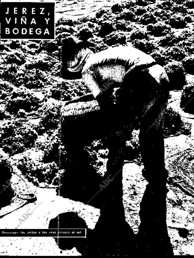 BLANCO Y NEGRO MADRID 10-08-1957 página 29