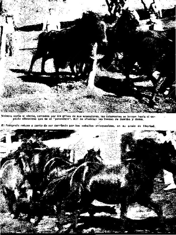 BLANCO Y NEGRO MADRID 16-11-1957 página 31