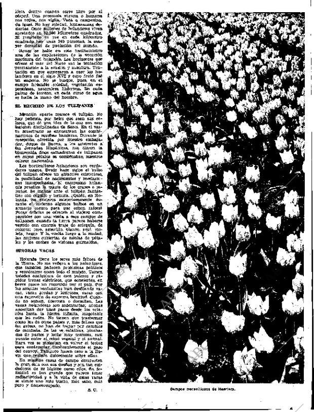 ABC SEVILLA 17-11-1957 página 7