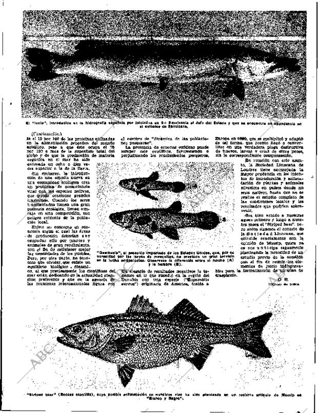 ABC SEVILLA 10-12-1957 página 9