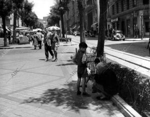 Paseo de Madrid en pleno verano