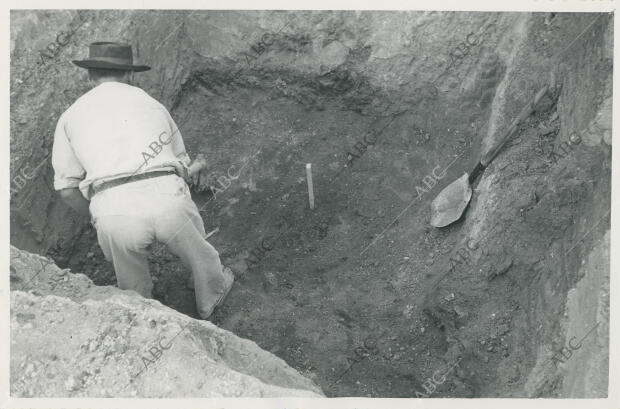 La estaca indica el lugar exacto del hallazgo