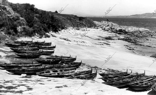 Isla de Ons (Pontevedra), 1958. Flota de dornas en la playa