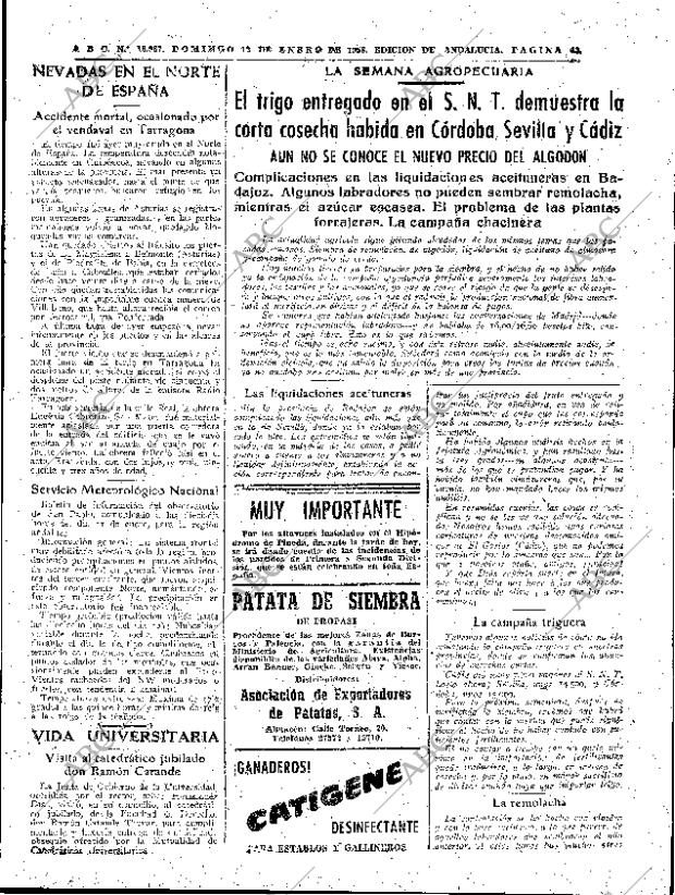 ABC SEVILLA 12-01-1958 página 43