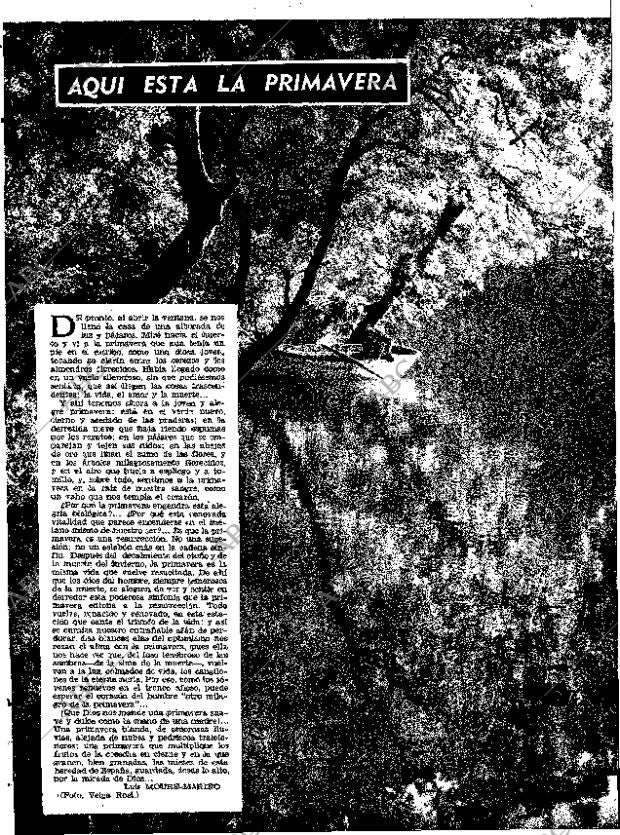 ABC MADRID 23-03-1958 página 7
